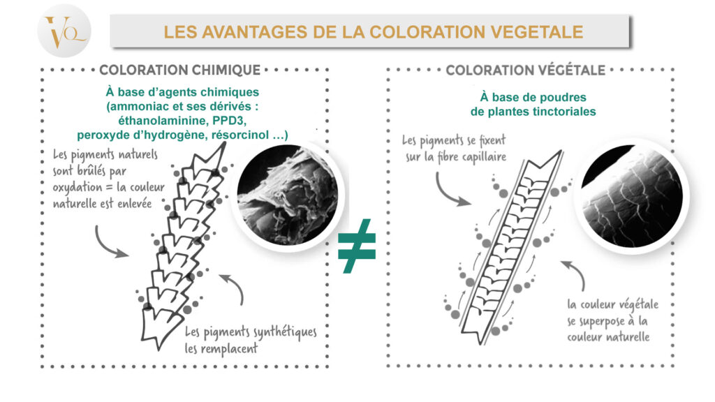 coloration chimique vs coloration végétale